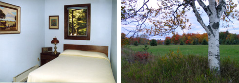 Sanctuary bedroom and birch